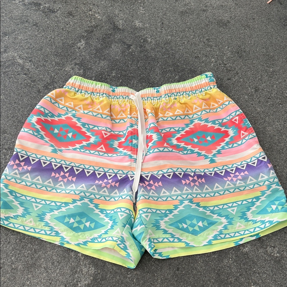 Chubbies Multicolor Geometric Swim Trunks